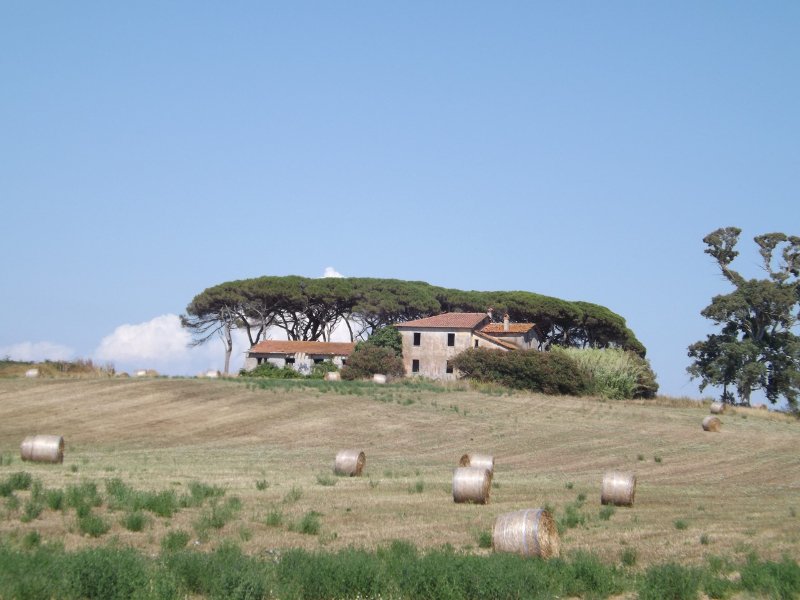 Picture of Fosso della Vignarola